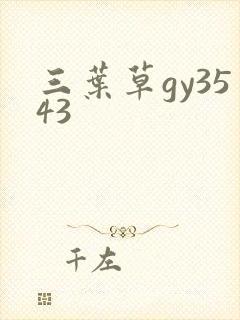 三叶草gy3543