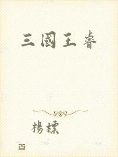 三国王睿