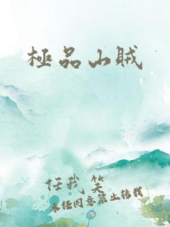 极品山贼