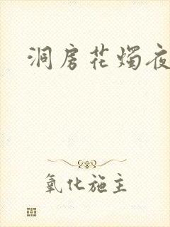 洞房花烛夜小说