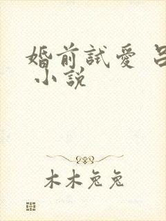婚前试爱 吕颜 小说