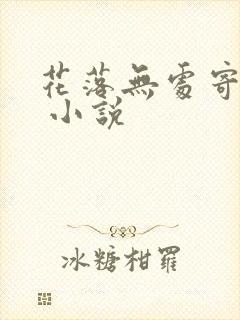 花落无处寄相思 小说