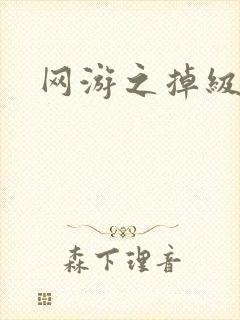 网游之掉级专家