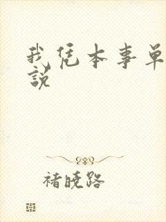 我凭本事单身小说