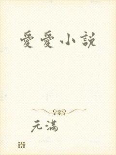 爱爱小说