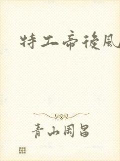 特工帝后风九少