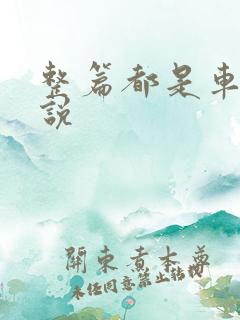 整篇都是车的小说