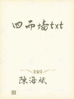 四面墙txt