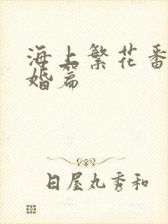 海上繁花番外结婚篇