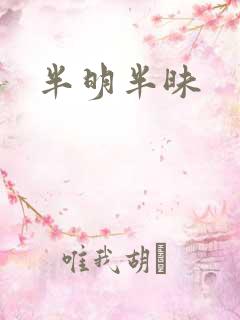 半明半昧