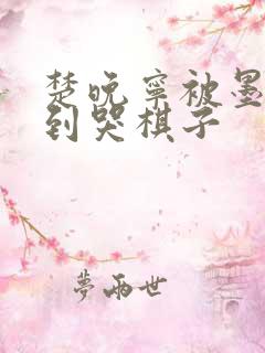 楚晚宁被墨燃做到哭棋子