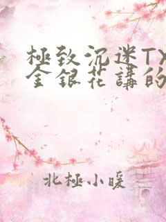极致沉迷TXL金银花讲的什么