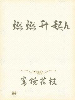 燃燃升起h