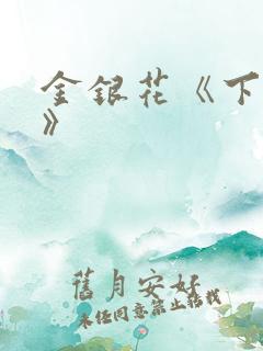 金银花《下厨房》