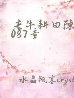 老牛耕田陈雪1087章