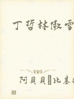 丁哲林傲雪小说