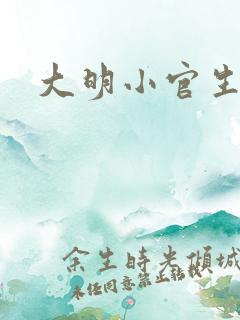 大明小官生活