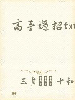 高手过招txt