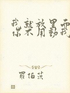 我就放里面不动你不用动我动