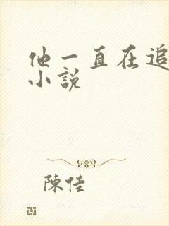 他一直在追初恋小说