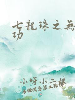 七龙珠之无敌神功