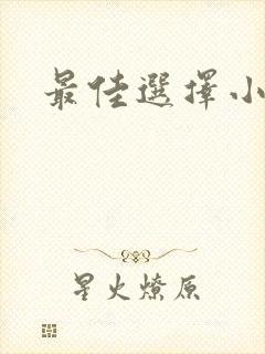 最佳选择小说