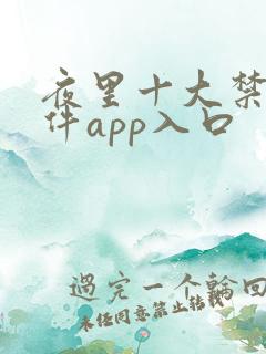 夜里十大禁用软件app入口