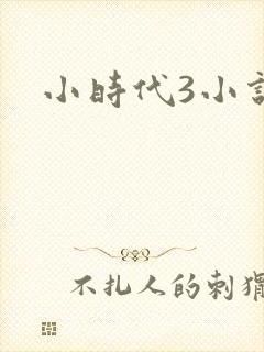 小时代3小说
