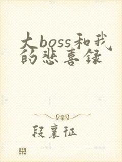 大boss和我的悲喜录
