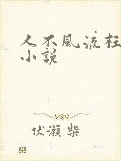 人不风流枉少年小说
