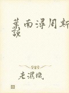 叶南浔周斯年小说