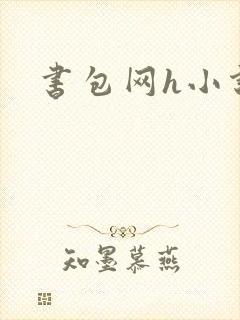 书包网h小说