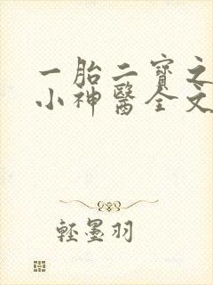 一胎二宝之弃妃小神医全文免费阅读