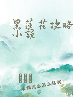 黑莲花攻略手册小说