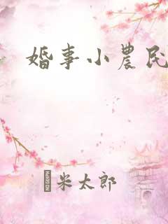 婚事小农民