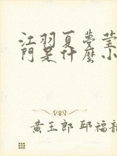 江羽夏梦莹神谕门是什么小说