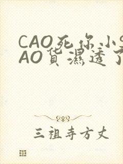 CAO死你小SAO货湿透了学长