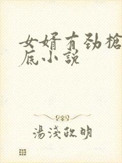 女婿有劲枪枪到底小说