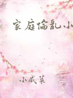家庭伦乱小说