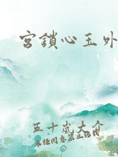 宫锁心玉外传