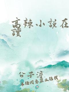 高辣小说在线阅读