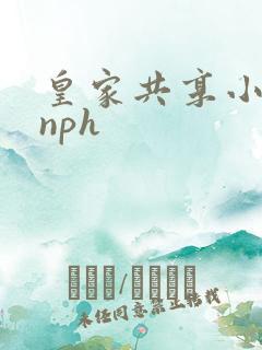 皇家共享小公主nph