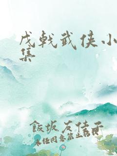 戊戟武侠小说全集