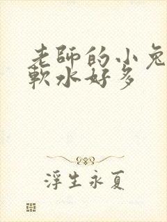 老师的小兔子好软水好多