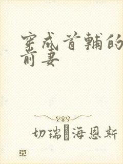 穿成首辅的炮灰前妻