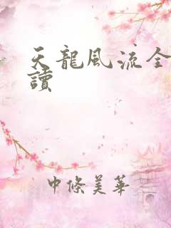 天龙风流全文阅读