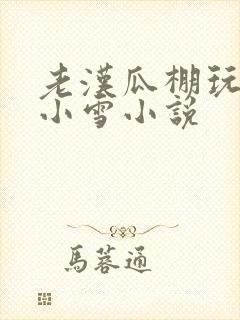 老汉瓜棚玩小丹小雪小说