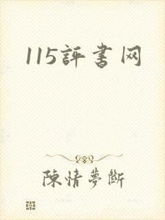 115评书网