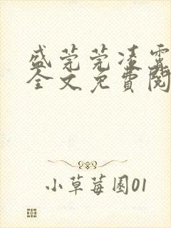 盛莞莞凌霄小说全文免费阅读