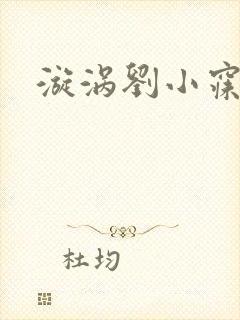 漩涡刘小寐